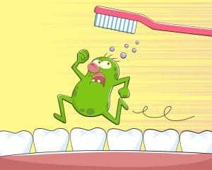 Oral Bacteria and the Many Microbes in Your Mouth